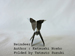 alt : Photo Origami Reindeer, Author : Katsushi Nosho, Folded by Tatsuto Suzuki